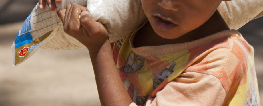 Jetzt zum kostenfreien Webinar anmelden - »Join the global fight against hunger and malnutrition«