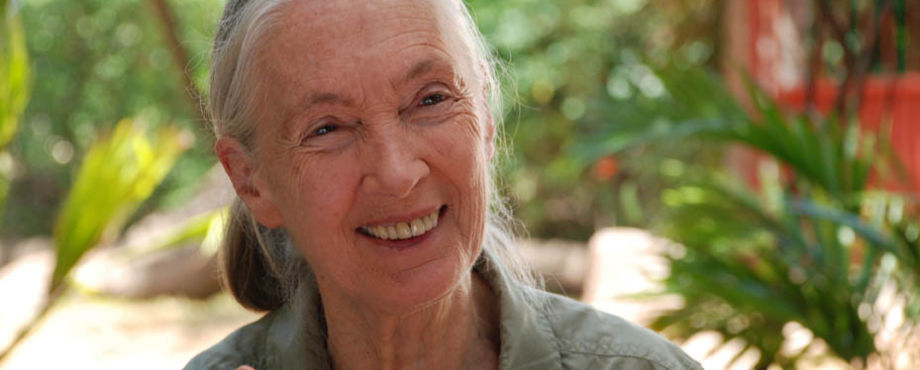 RI Convention 2013 - Jane Goodall in Lissabon