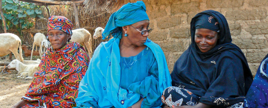 350.000 Euro für Gesundheit - Rotary und Minister Niebel helfen Nigerias Müttern