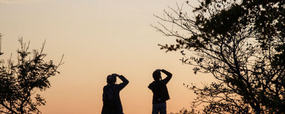 Rotary Fellowship - Fotografie-Gruppe startet durch