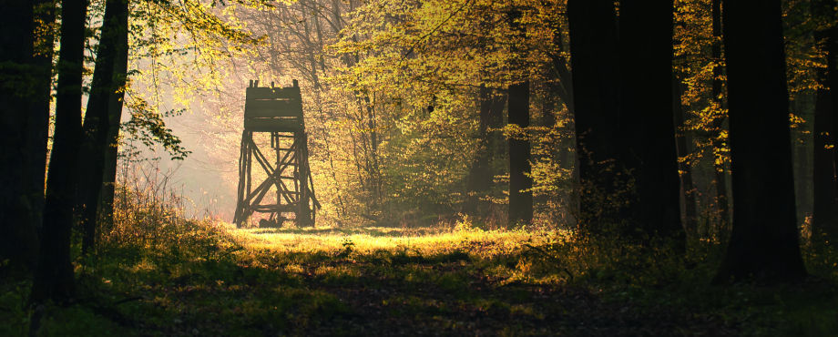 Zwischenruf - Beim Umgang mit Waffen gibt es kein Pardon