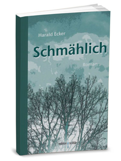 Roman - Schmählich