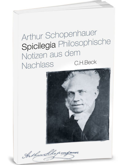 - Spicilegia. Philosophische Notizen aus dem Nachlass