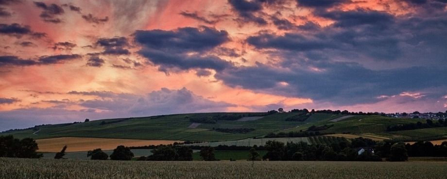 Distrikt - Seelenbilder aus Rheinhessen