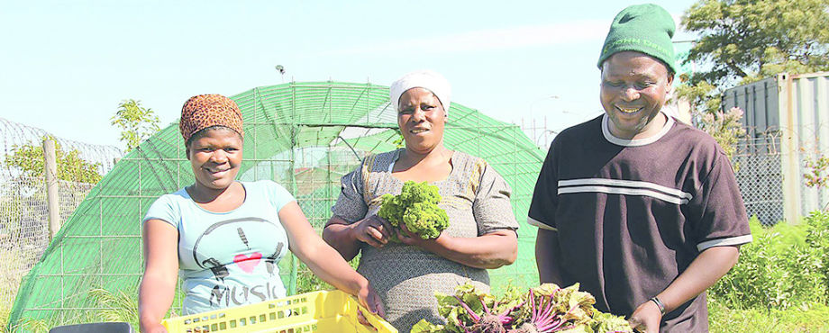 Wirtschafts- & Kommunalentwicklung - Die Gartenoase von Kapstadt