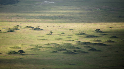 Foto-Safari durch Tansania