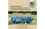 Internationale Offene Deutsche Rotary Golfmeisterschaften 2023 
