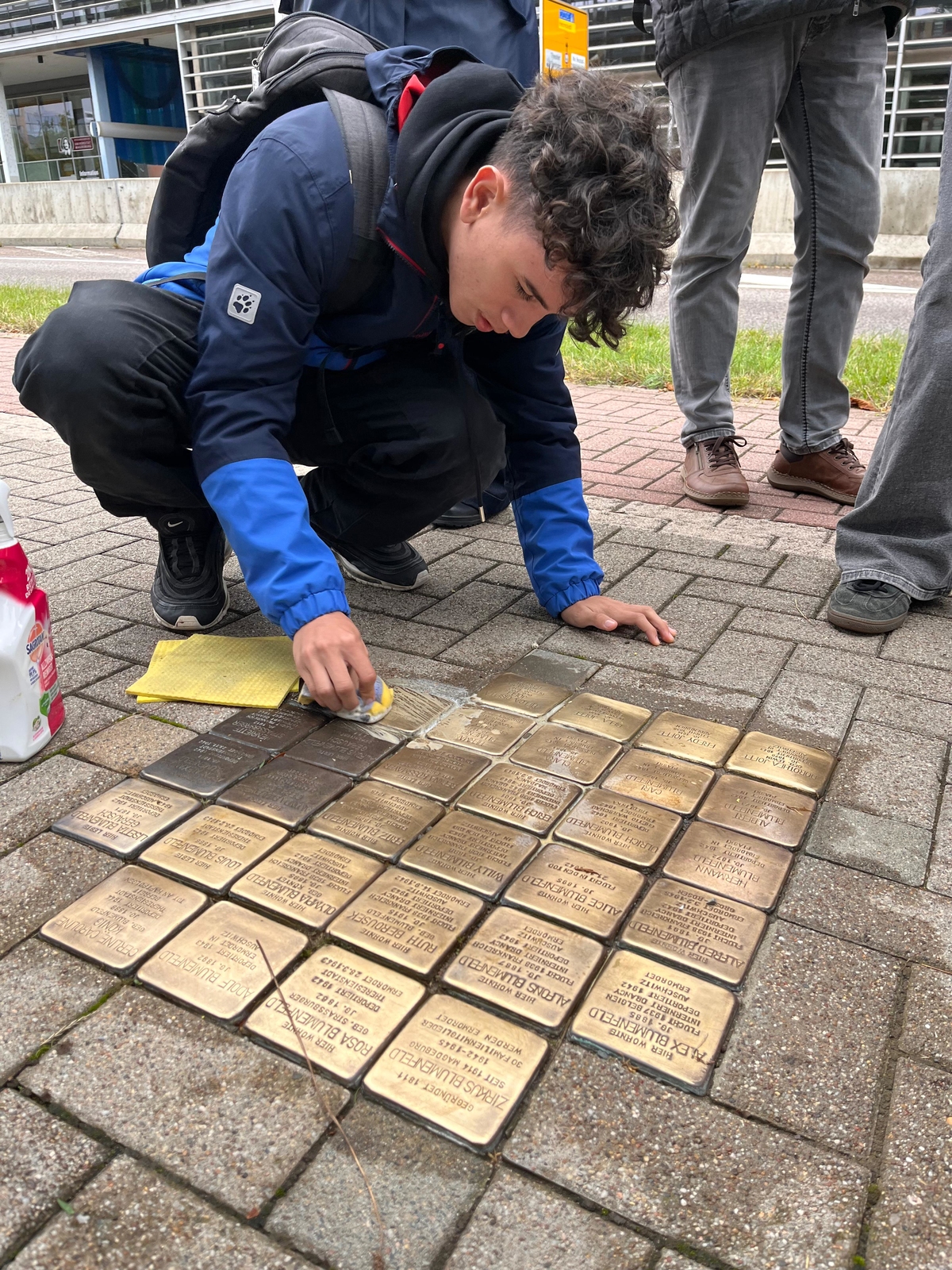 2024, stolpersteine, d1800, magdeburg, rotex