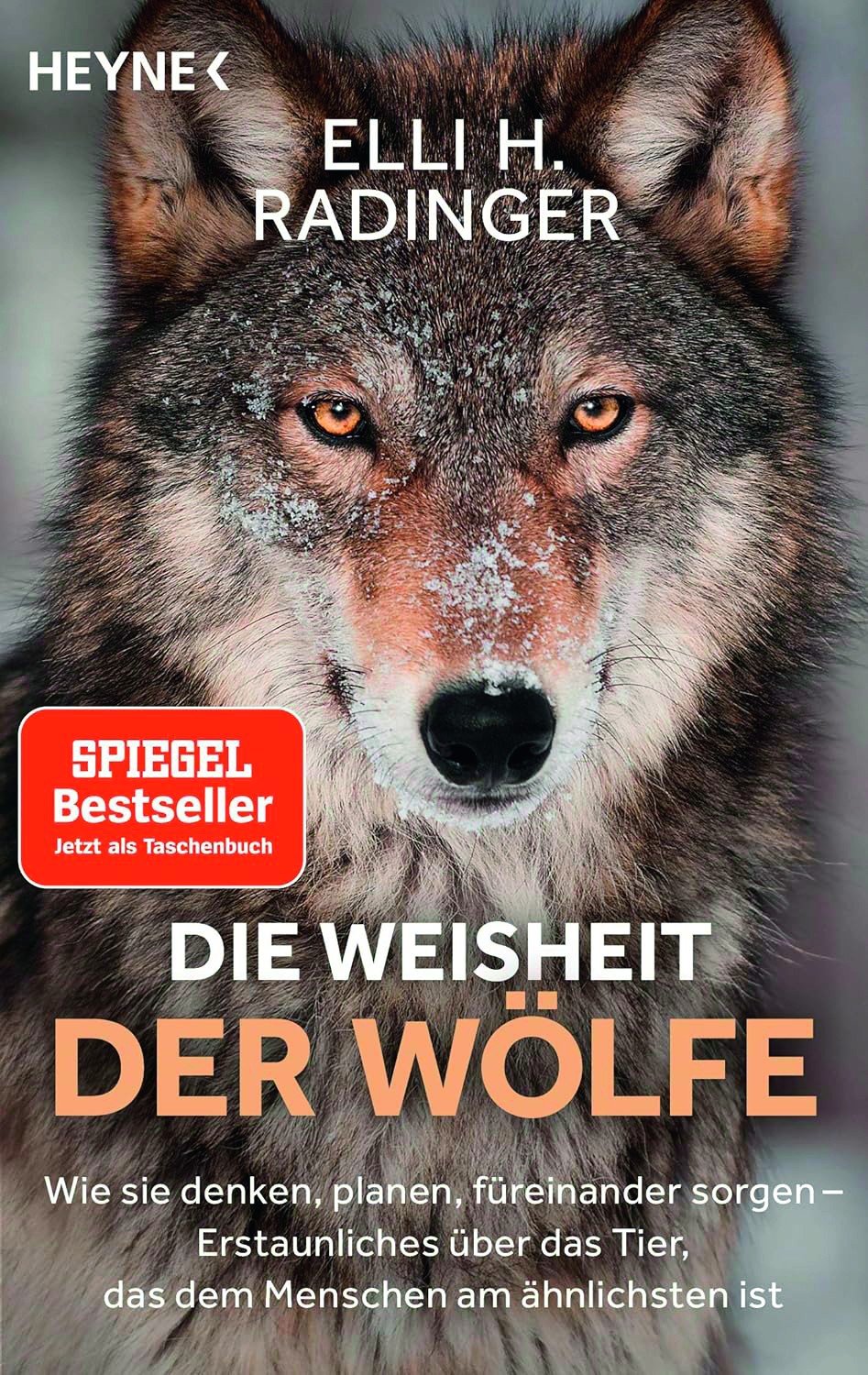 2024, titelthema, buchtipp, Elli H. Radinger Die Weisheit der Wölfe, Heyne Verlag