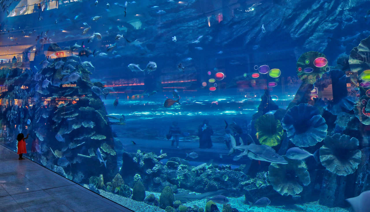 2023, dubai-mall-aquarium, aquarium, dubai, vae