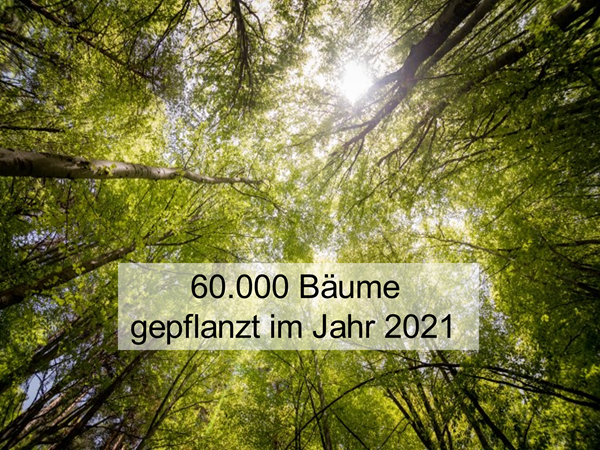 2022, bäume, 
