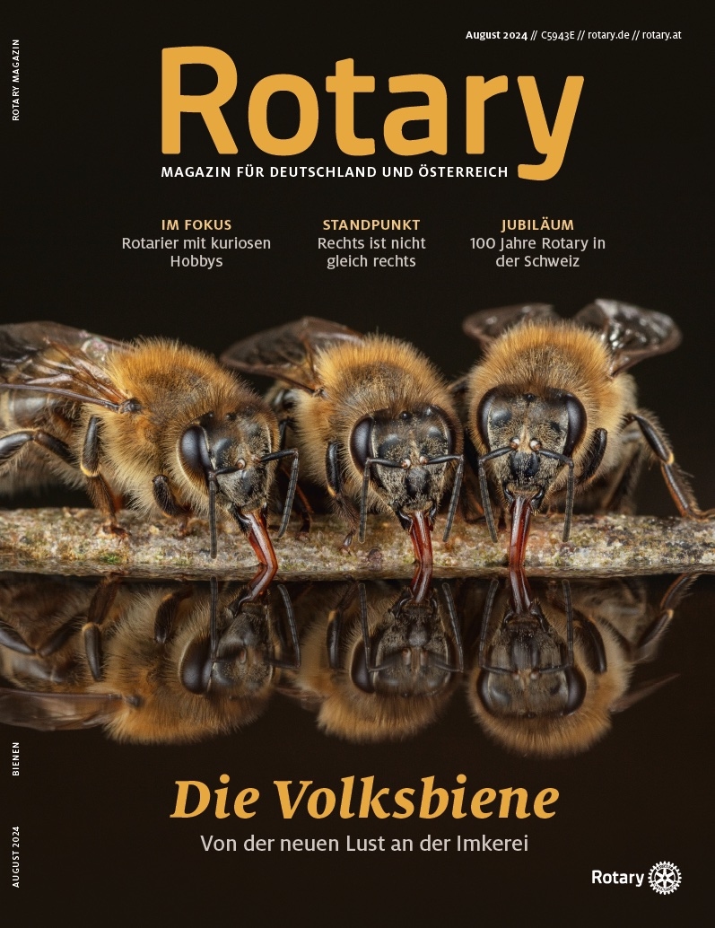 2024, bienen, titelthema