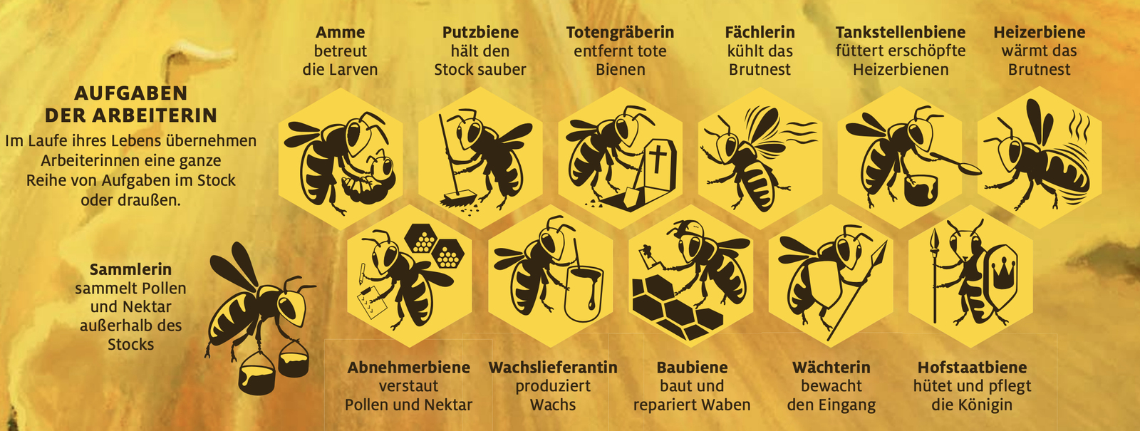 2024, Wirtschaftskraft der Bienen, titelthema