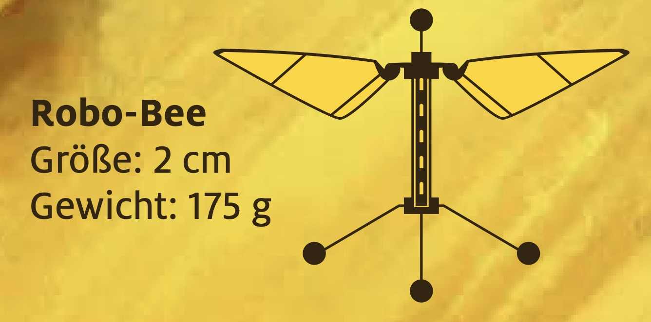 2024, Wirtschaftskraft der Bienen, titelthema