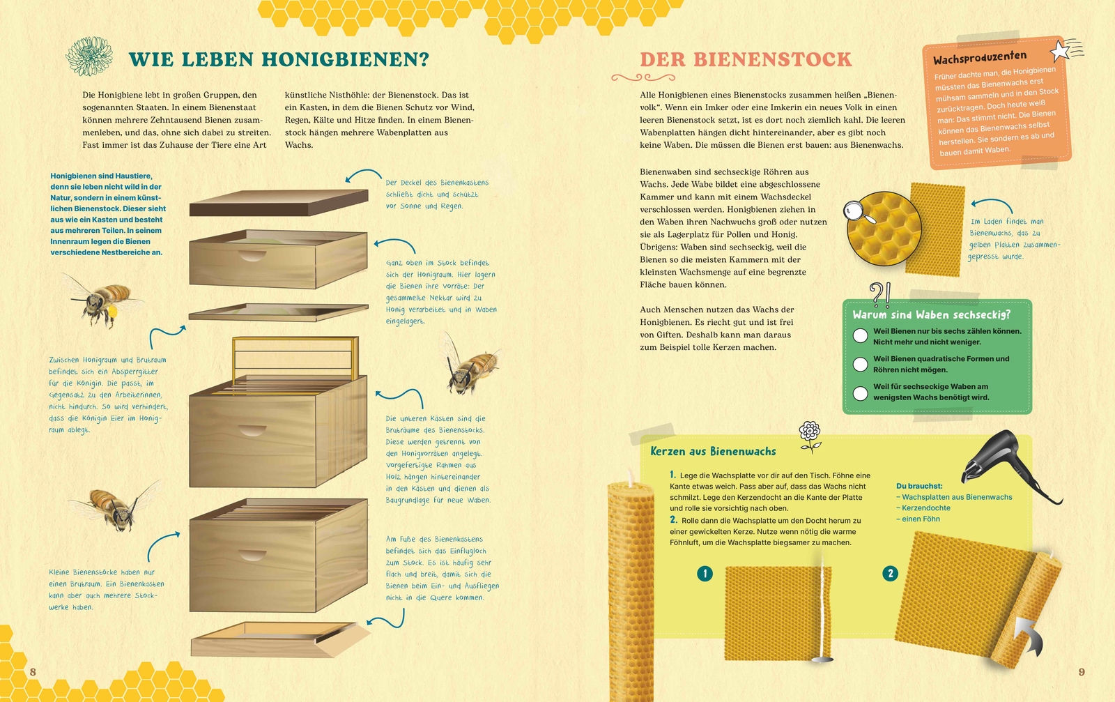 2024, Opulent und lehrreich, titelthema bienen