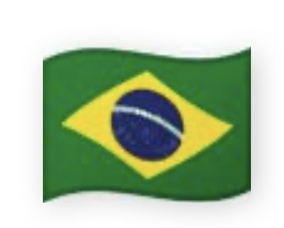 2021, rotary ist nicht gleich rotary, brasilien flagge