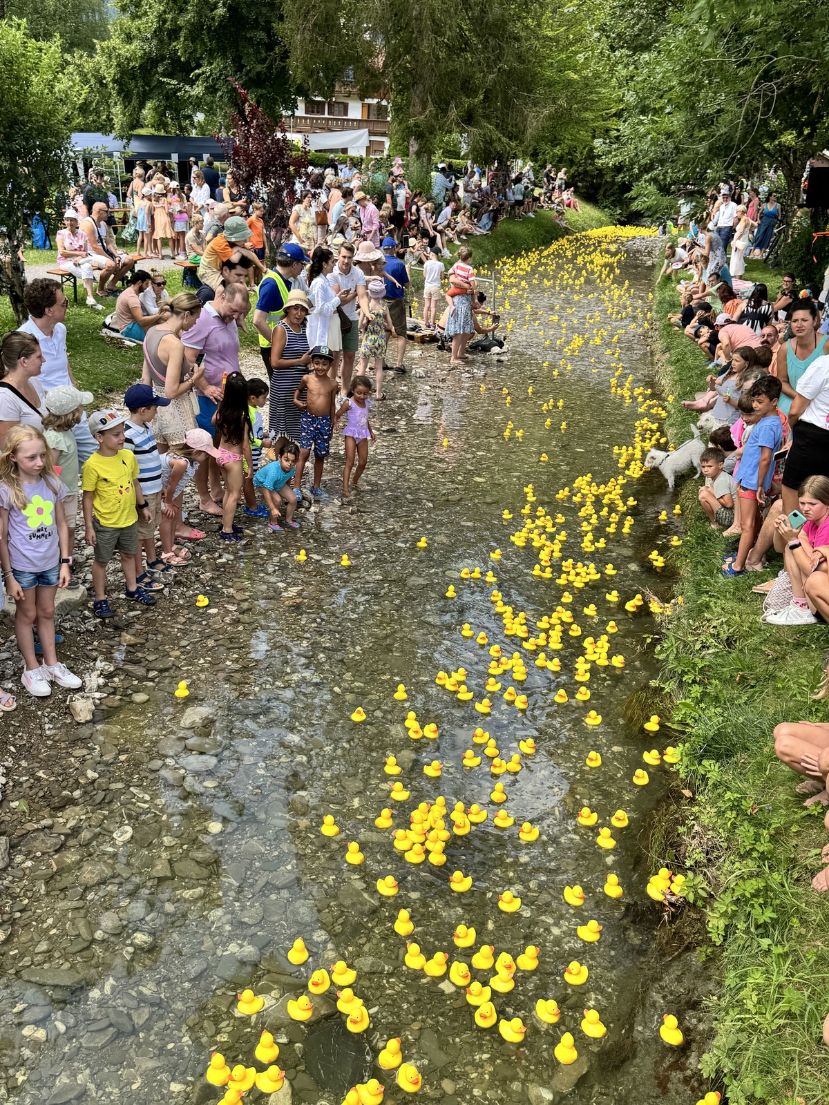 2024, tegernsee, entenrennen