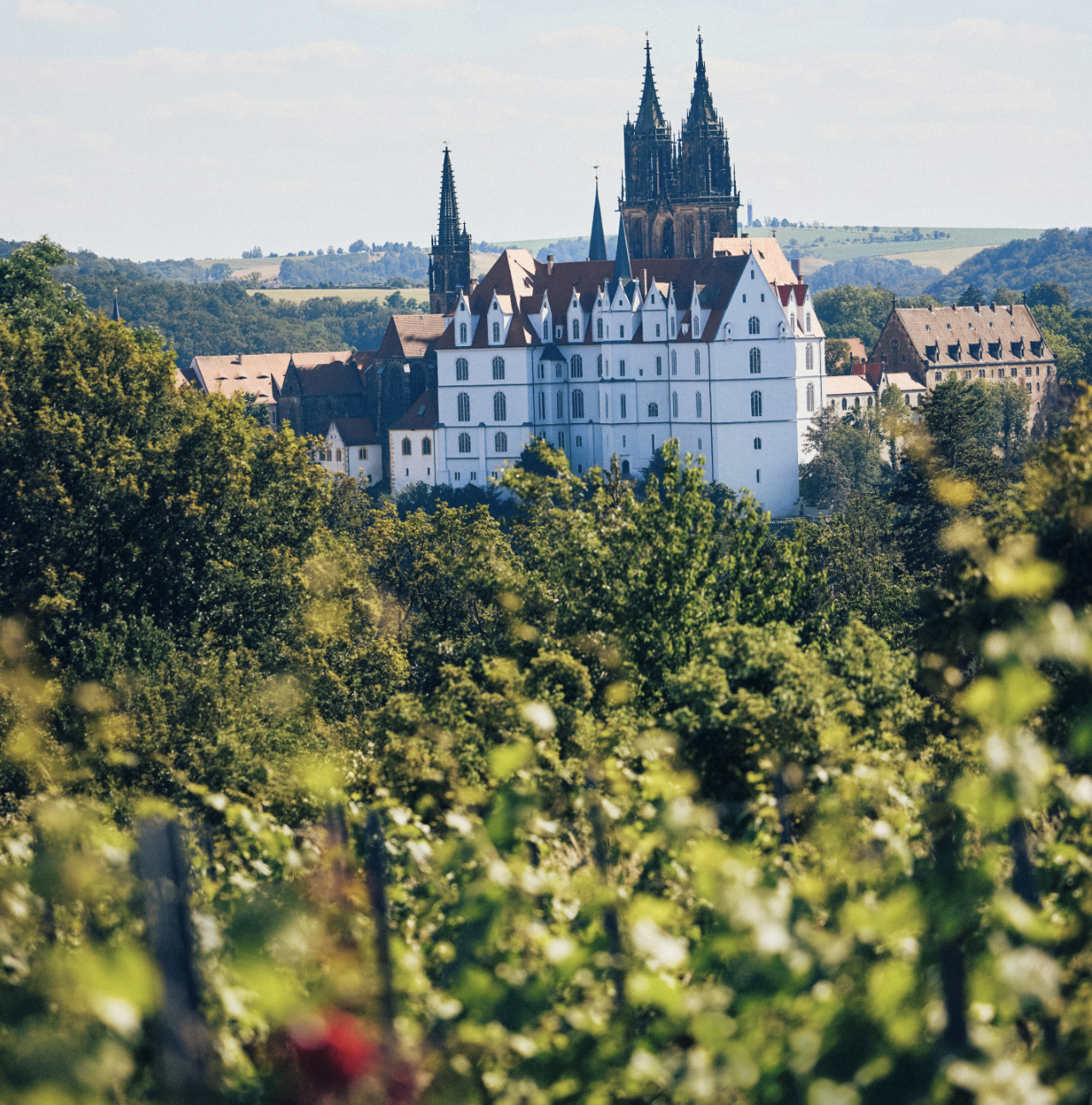 2024, alles auf wein, titelthema