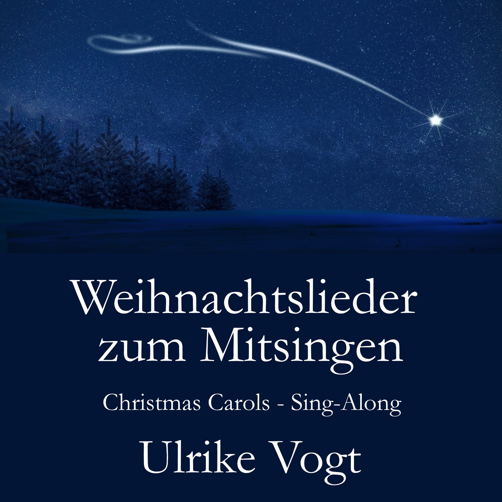 2024, ulrike vogt, weihnachtslieder, mitsingen, christmas carols, sing-along